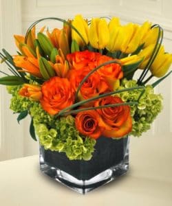 A vibrant display of Lilies, Tulips and Roses sprouting out of a bed of delicious green Hydrangea and wisps of curling bear grass.